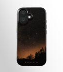 Starry Woods