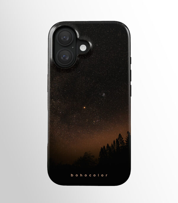 Starry Woods